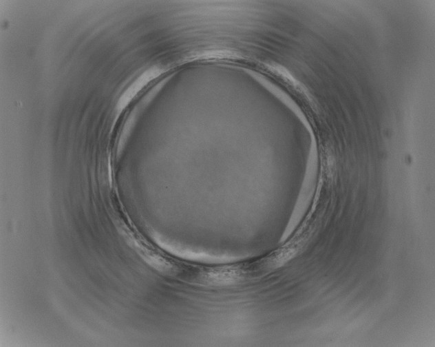 X0000076081274200610152243