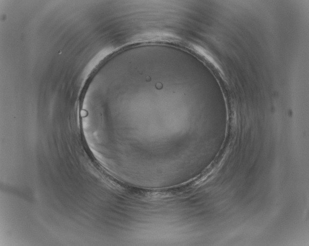 X0000076081275200610152243