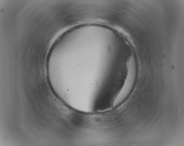 X0000076081280200610152243