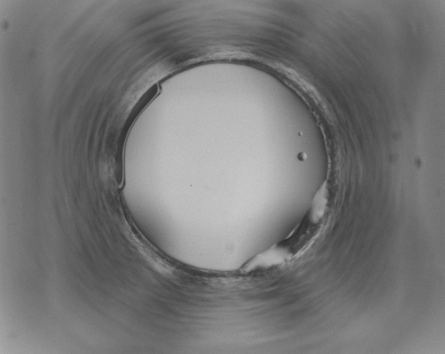 X0000076081281200610152243