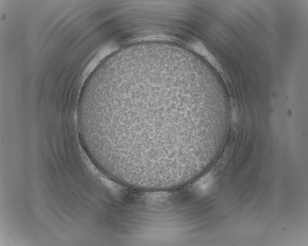 X0000076081282200610152243