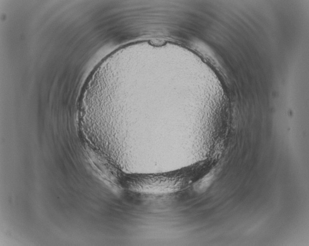 X0000076081284200610152243