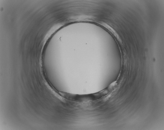 X0000076081285200610152243