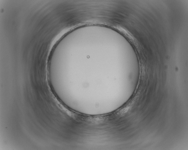 X0000076081286200610152243