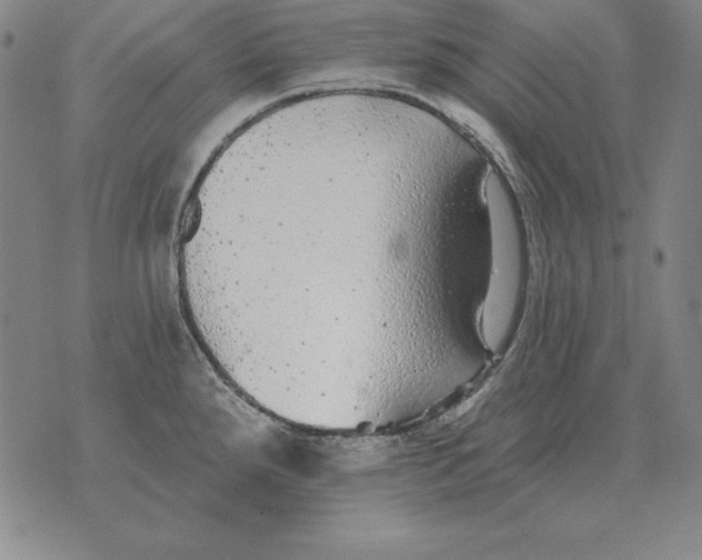 X0000076081288200610152243