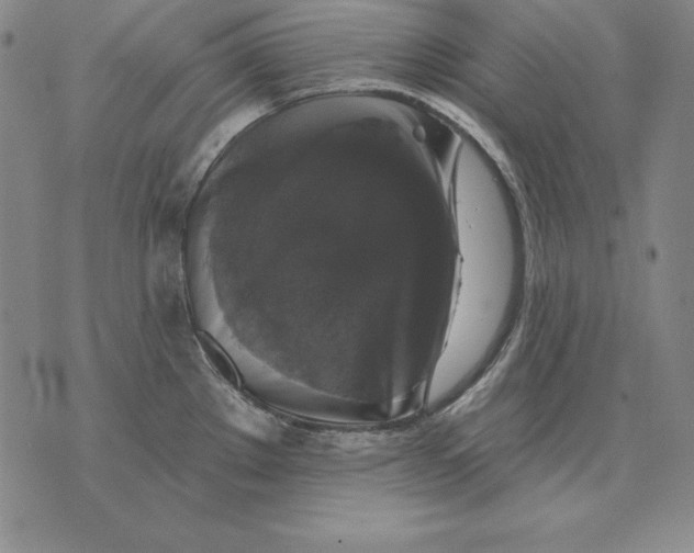 X0000076081289200610152243