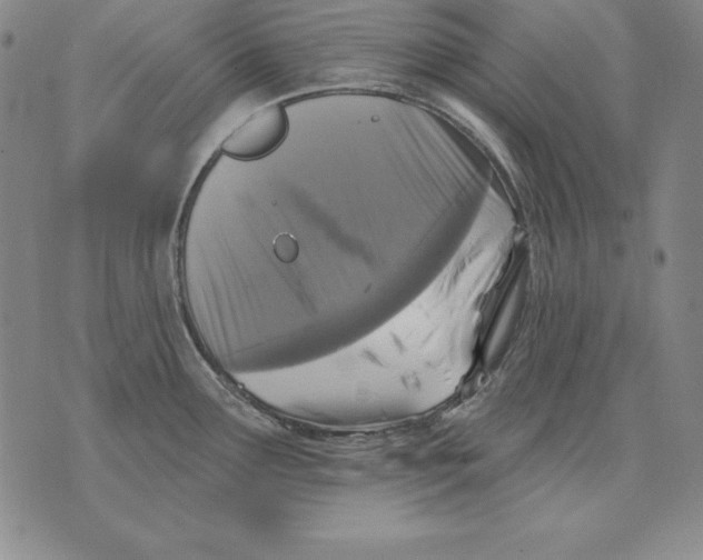 X0000076081291200610152243