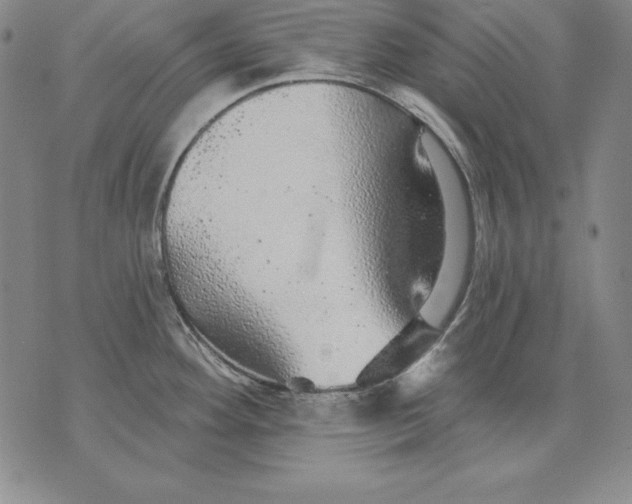 X0000076081292200610152243