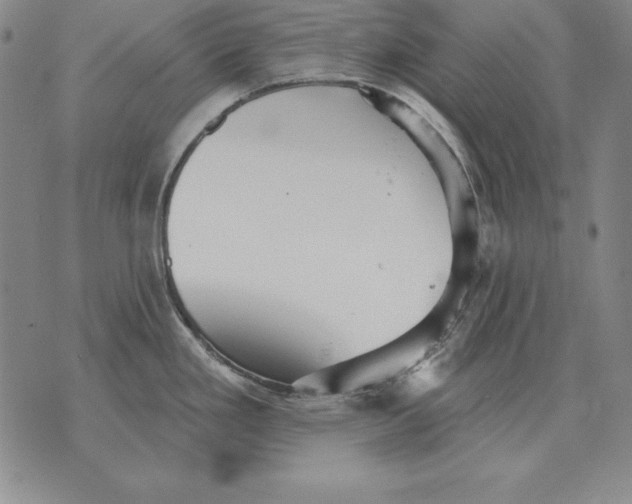 X0000076081293200610152243