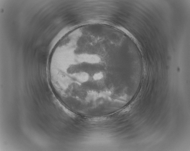 X0000076081294200610152243