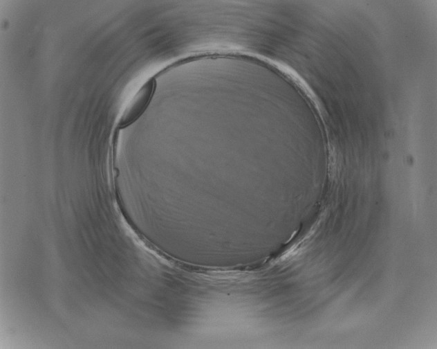 X0000076081295200610152243