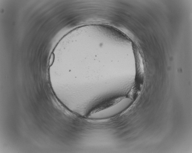 X0000076081296200610152243