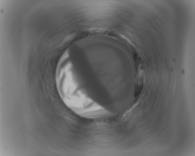 X0000076081297200610152242