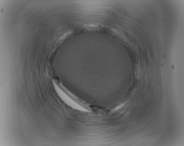 X0000076081298200610152242