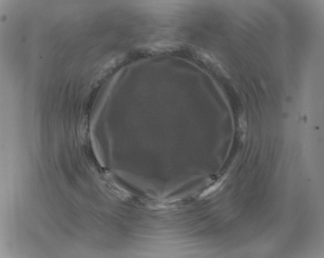 X0000076081300200610152242