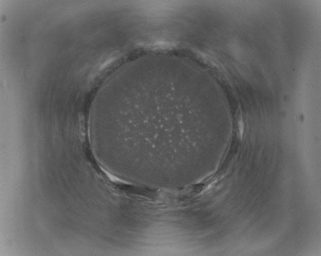 X0000076081301200610152242