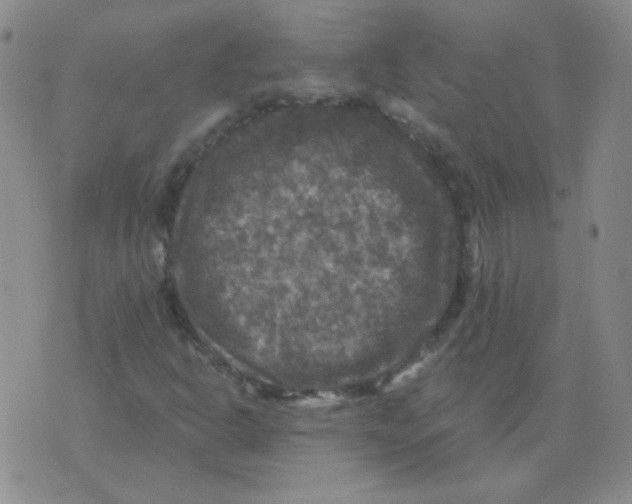 X0000076081302200610152242