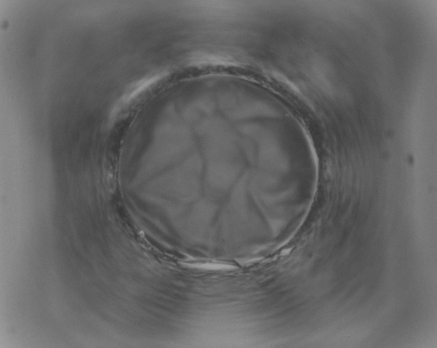 X0000076081303200610152242