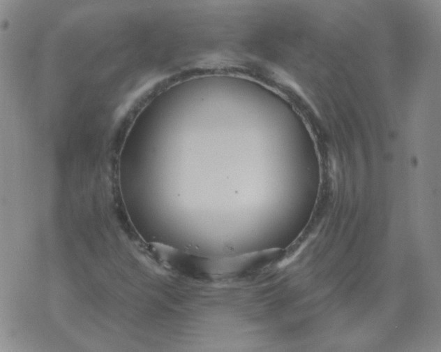 X0000076081304200610152242