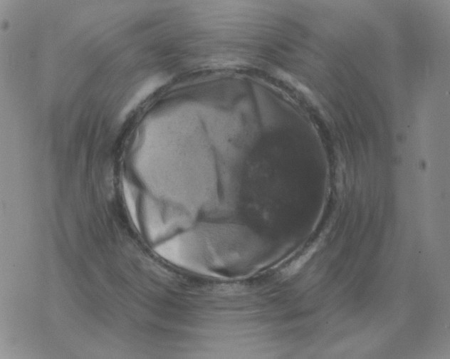 X0000076081306200610152242