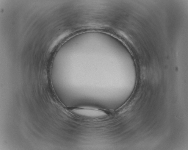 X0000076081307200610152243