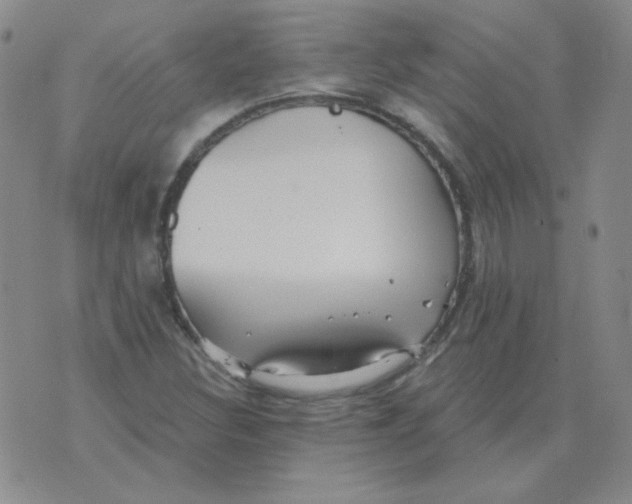 X0000076081308200610152243