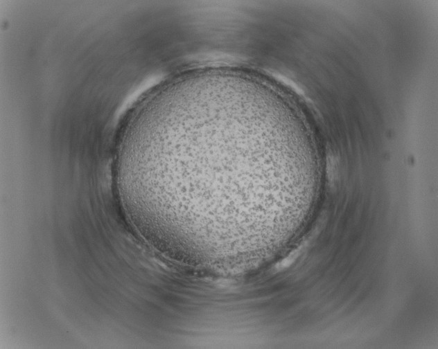 X0000076081309200610152243