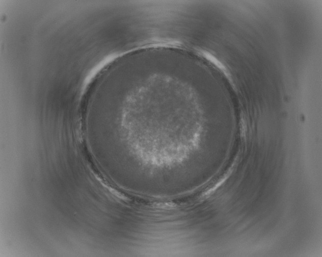 X0000076081310200610152243