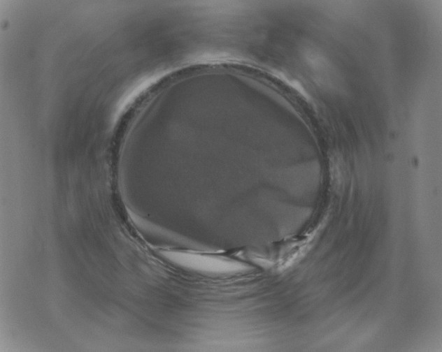 X0000076081311200610152243