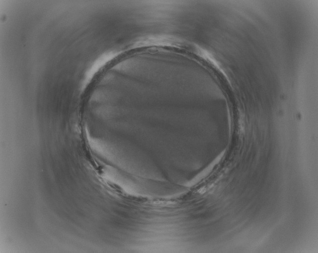 X0000076081312200610152243