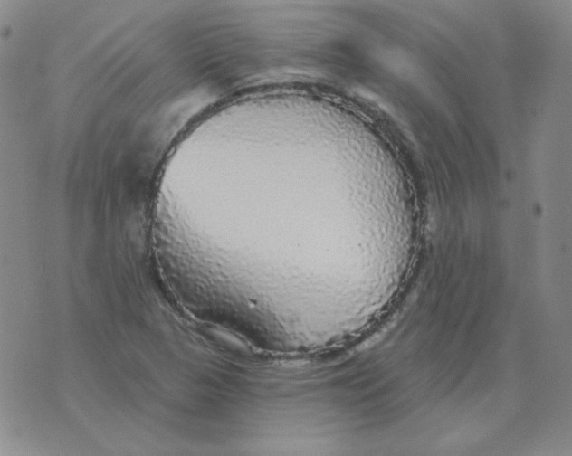 X0000076081313200610152243