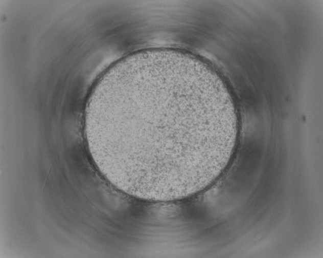 X0000076081314200610152243