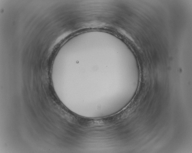 X0000076081315200610152243