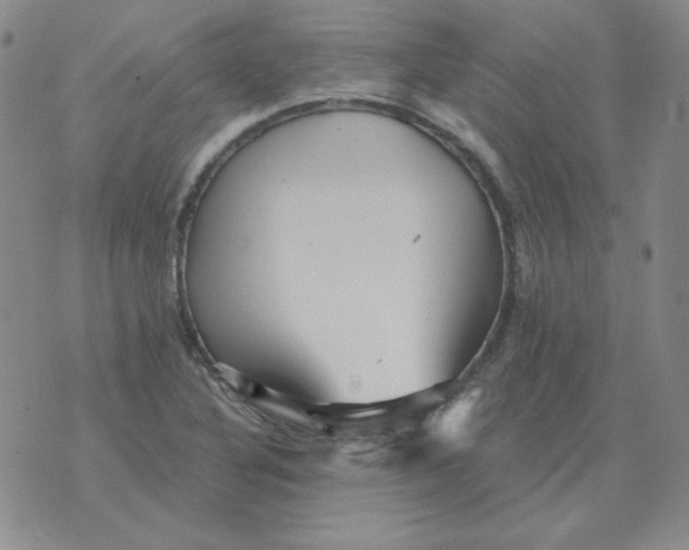 X0000076081316200610152243