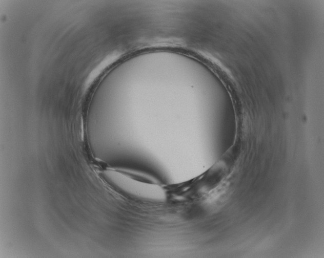 X0000076081317200610152243