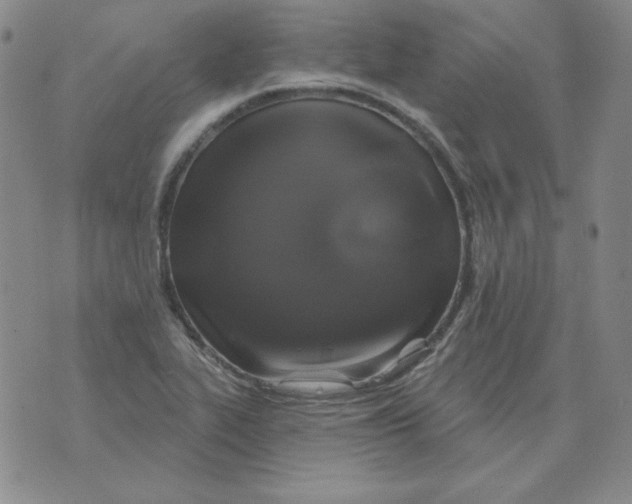 X0000076081319200610152243