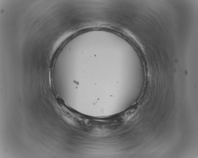 X0000076081320200610152243