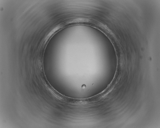 X0000076081321200610152243