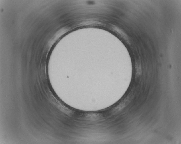 X0000076081322200610152243