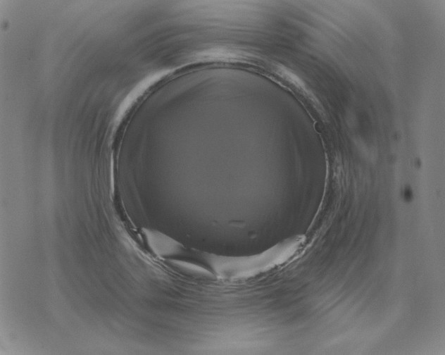 X0000076081323200610152243