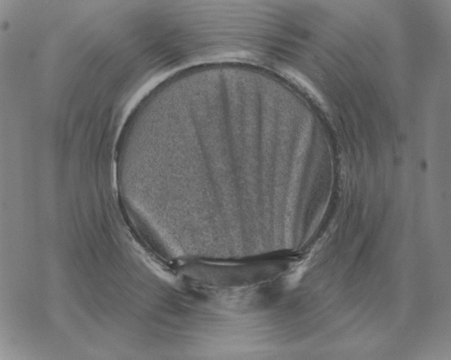 X0000076081324200610152243