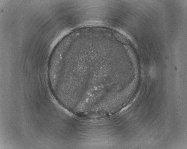 X0000076081325200610152243