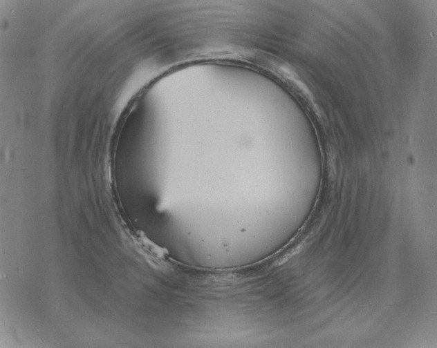 X0000076081328200610152243