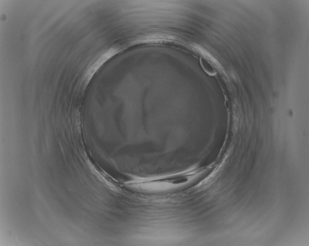 X0000076081329200610152243