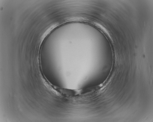 X0000076081330200610152243