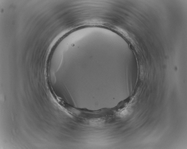 X0000076081331200610152243