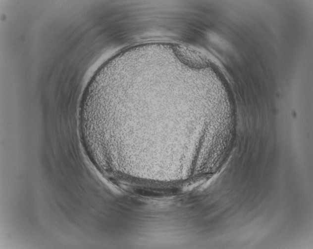 X0000076081333200610152243