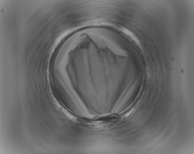 X0000076081334200610152243