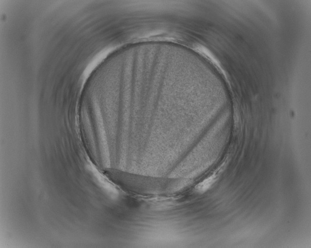 X0000076081336200610152243