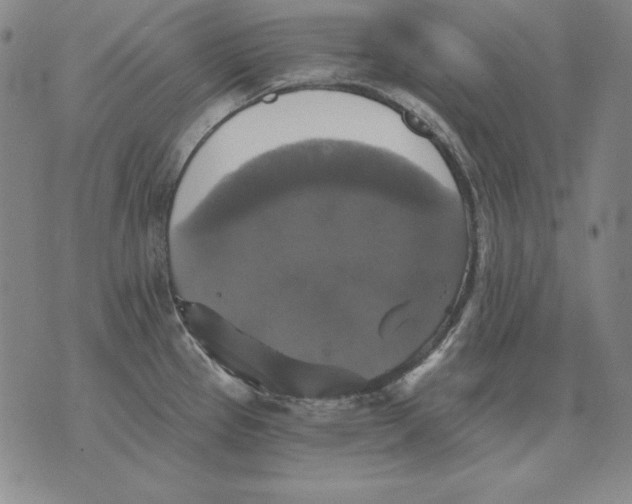 X0000076081337200610152243